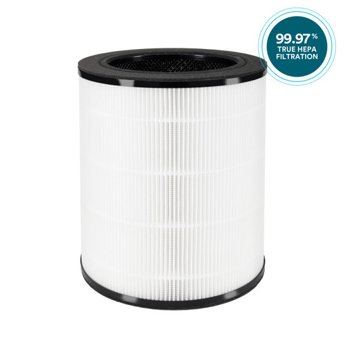 3-in-1 True HEPA Replacement Filter for AP-T200