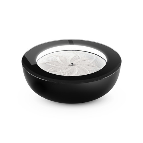drift 21"